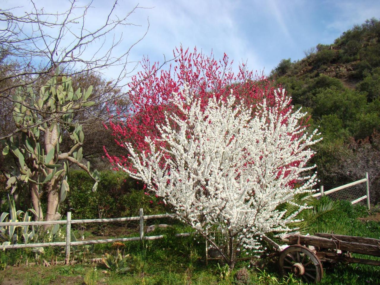 Waterval Farmstay Graaff Reinet Bagian luar foto