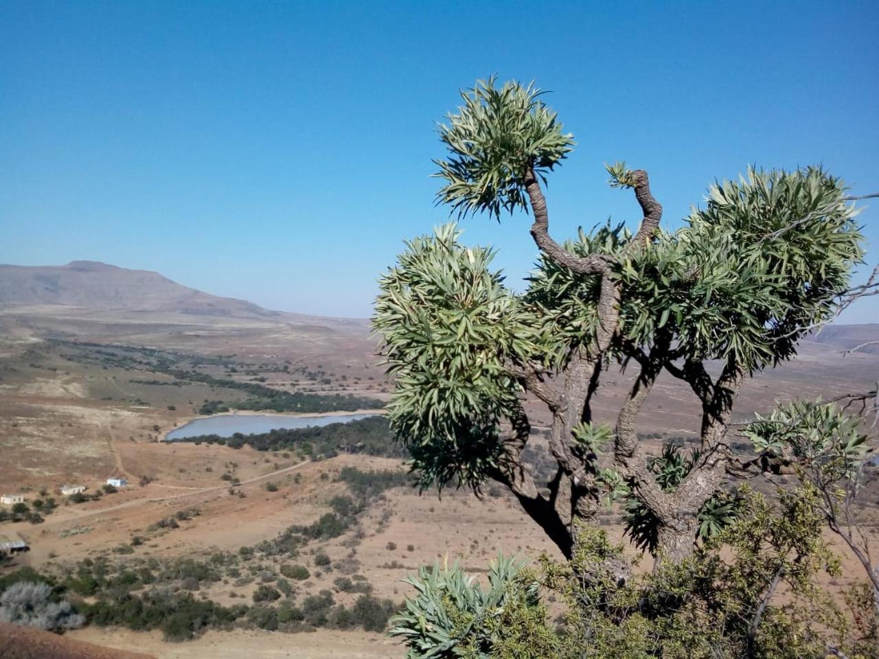 Waterval Farmstay Graaff Reinet Bagian luar foto